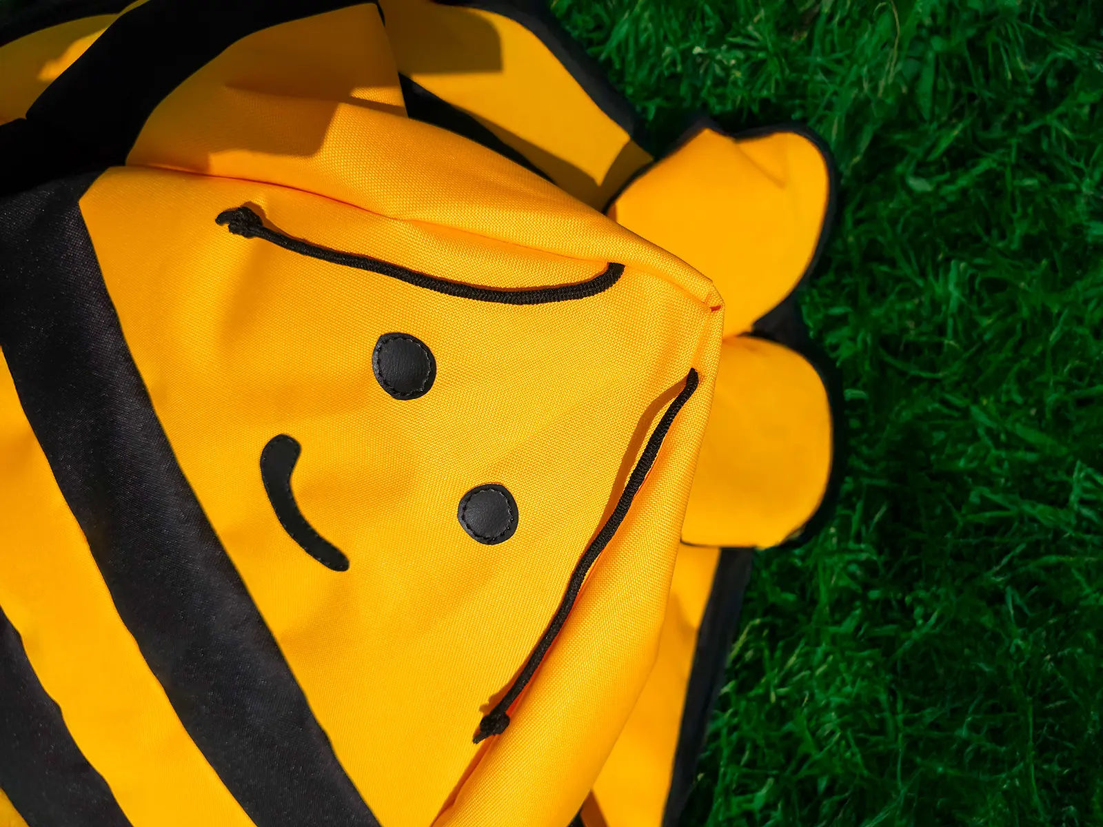 Bee Bean Bag - Large