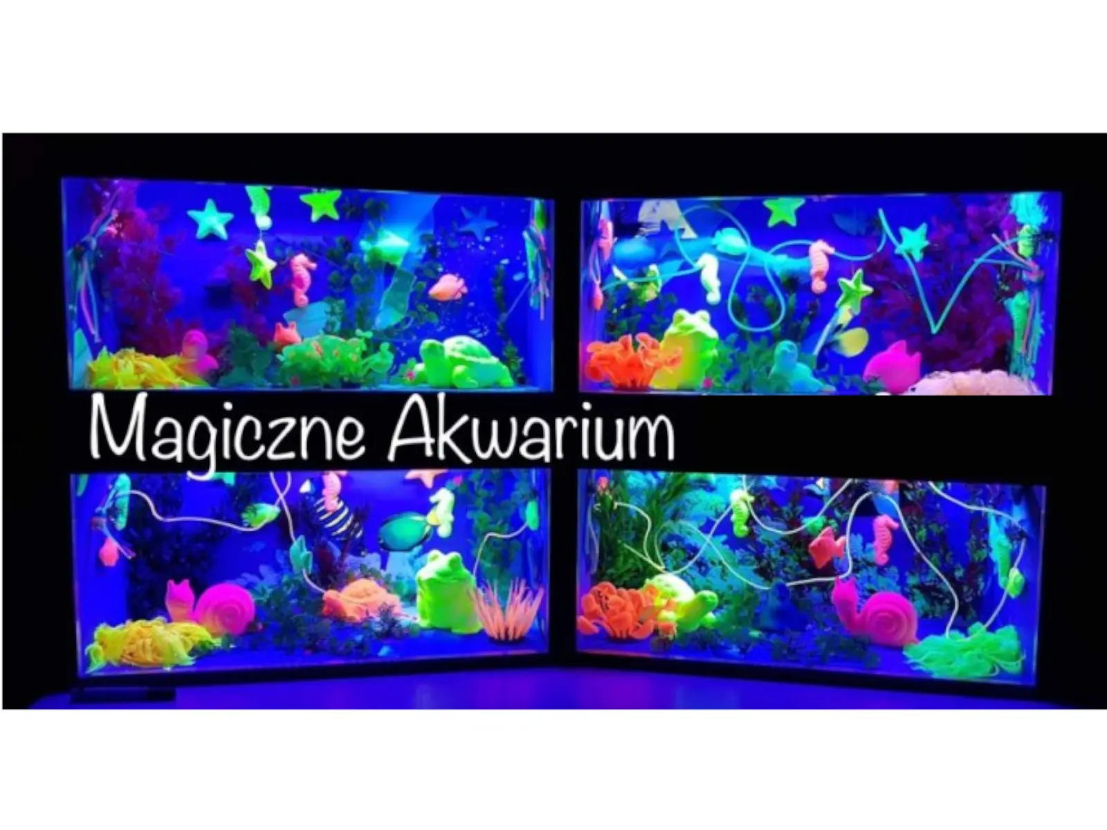 Magiczne akwarium